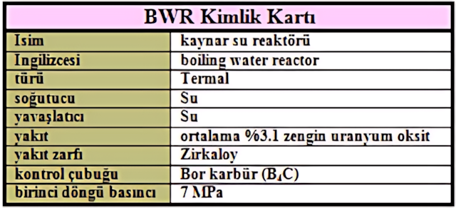 BWR yakıt ve kontrol sistemi