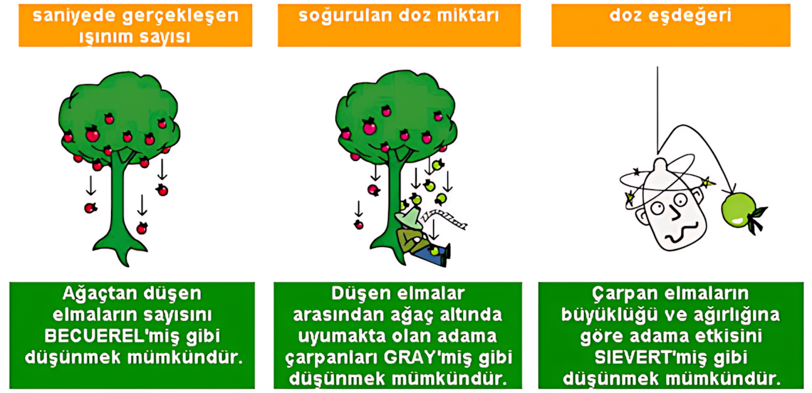 Radyasyon maruziyeti