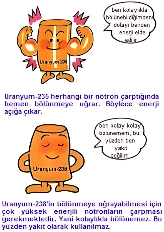 Uranyum izotopları